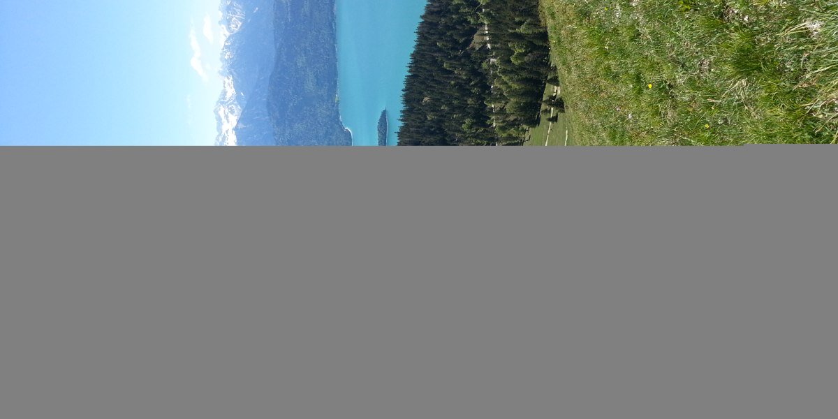20170526_115309 20170526_115309