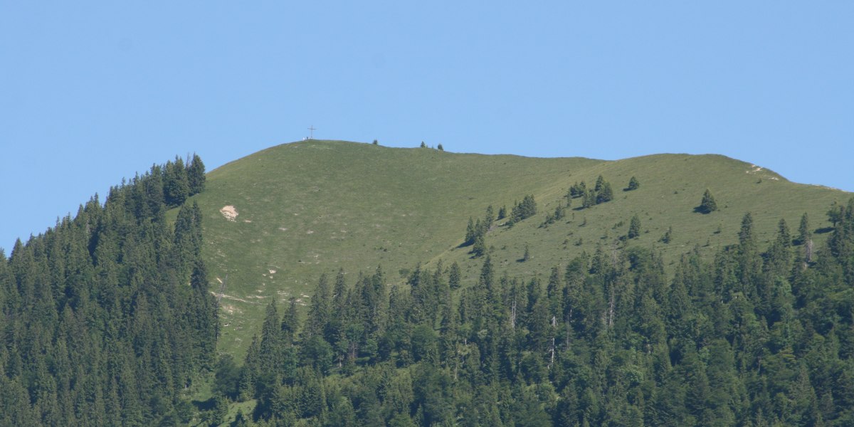 2009-06-14 025 2009-06-14 025