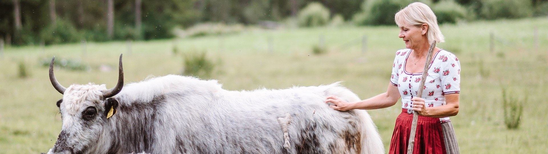 Die Kräuterpädagogin Andrea Meßmer aus der Jachenau mit zwei ihrer Yaks, © Tölzer Land Tourismus, Foto: Leonie Lorenz Die Kräuterpädagogin Andrea Meßmer aus der Jachenau mit zwei ihrer Yaks, © Tölzer Land Tourismus, Foto: Leonie Lorenz