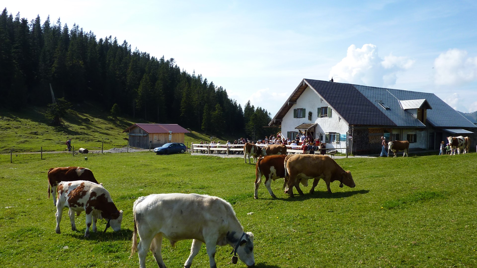 Jocheralm, © Gemeinde Jachenau Jocheralm, © Gemeinde Jachenau