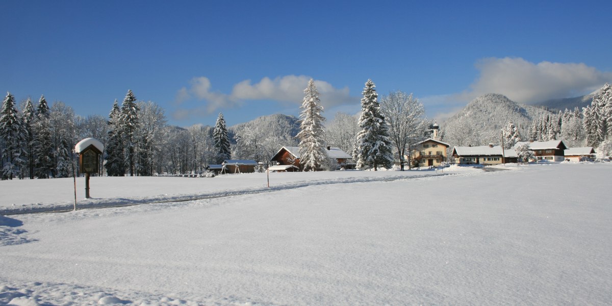 2007-11-16 076 2007-11-16 076