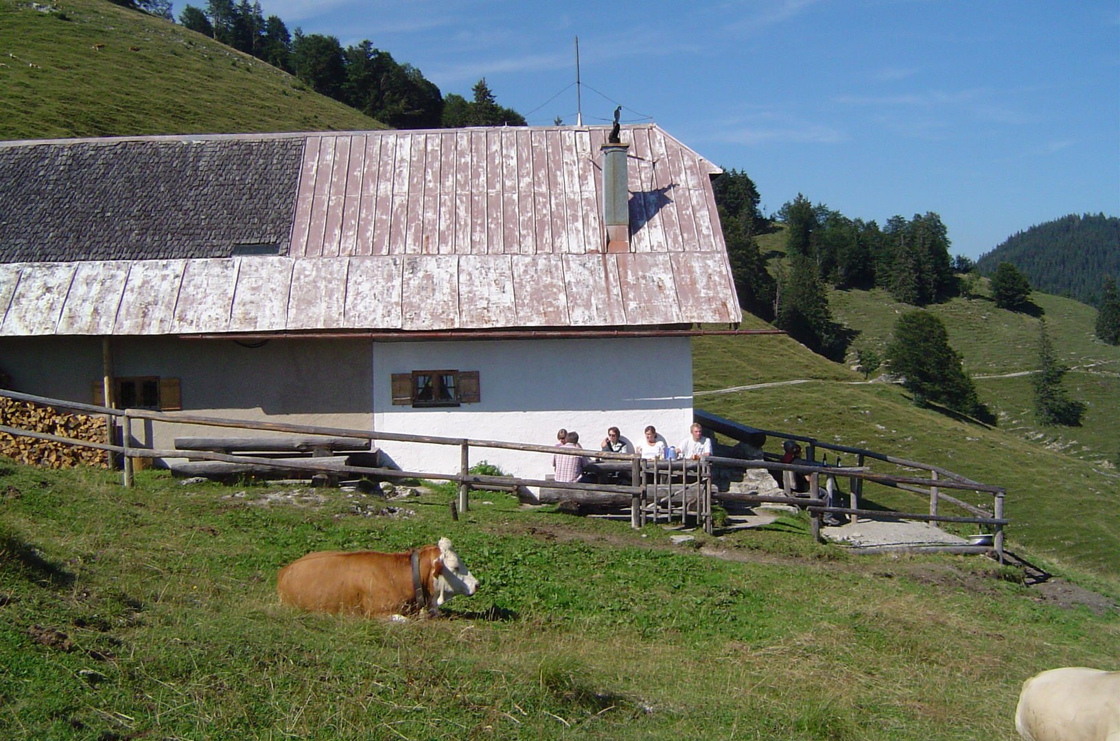 Staffelalm am Rabenkopf, © Gemeinde Jachenau Staffelalm am Rabenkopf, © Gemeinde Jachenau