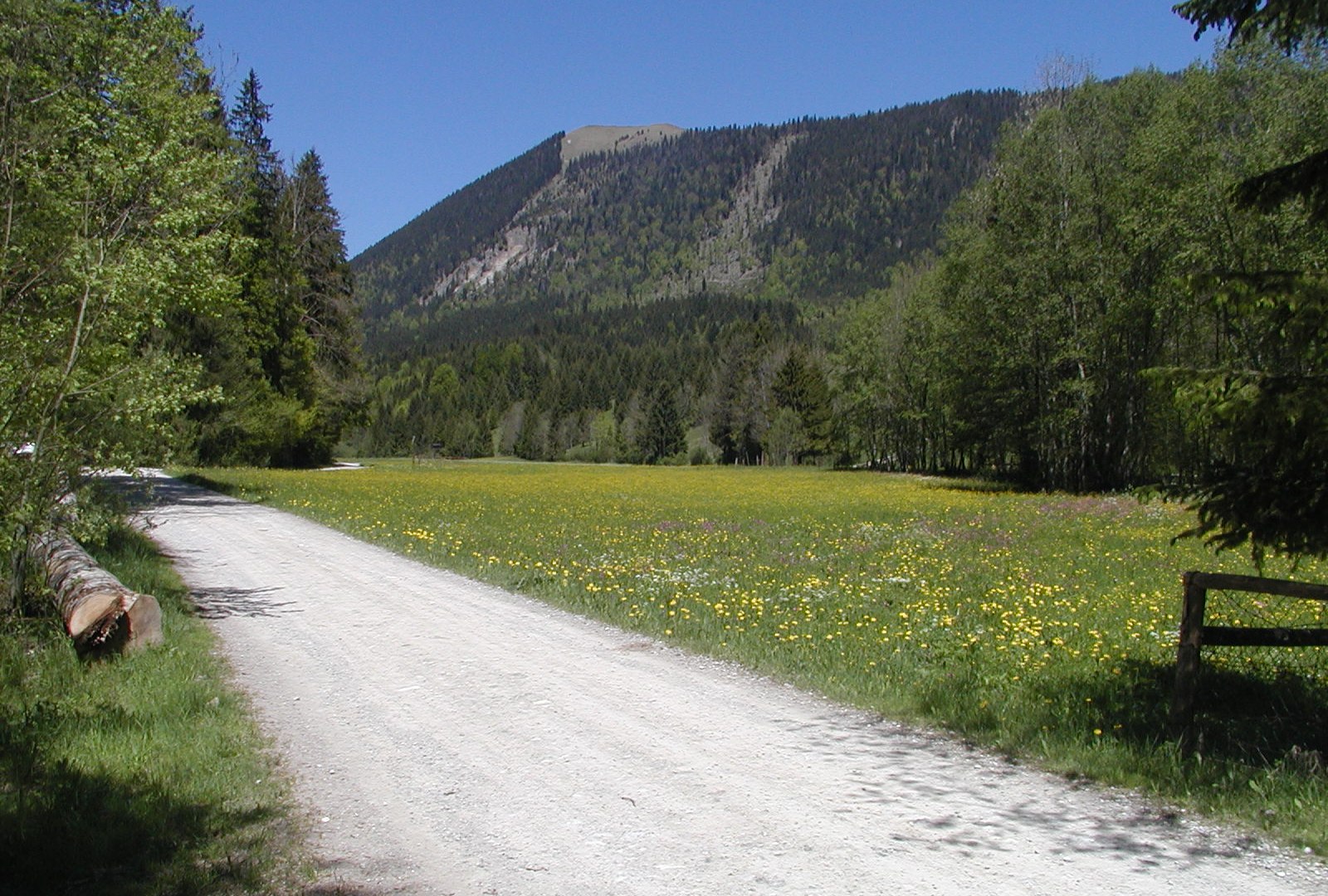 "Ascherwiesen-Runde", © Gemeinde Jachenau "Ascherwiesen-Runde", © Gemeinde Jachenau