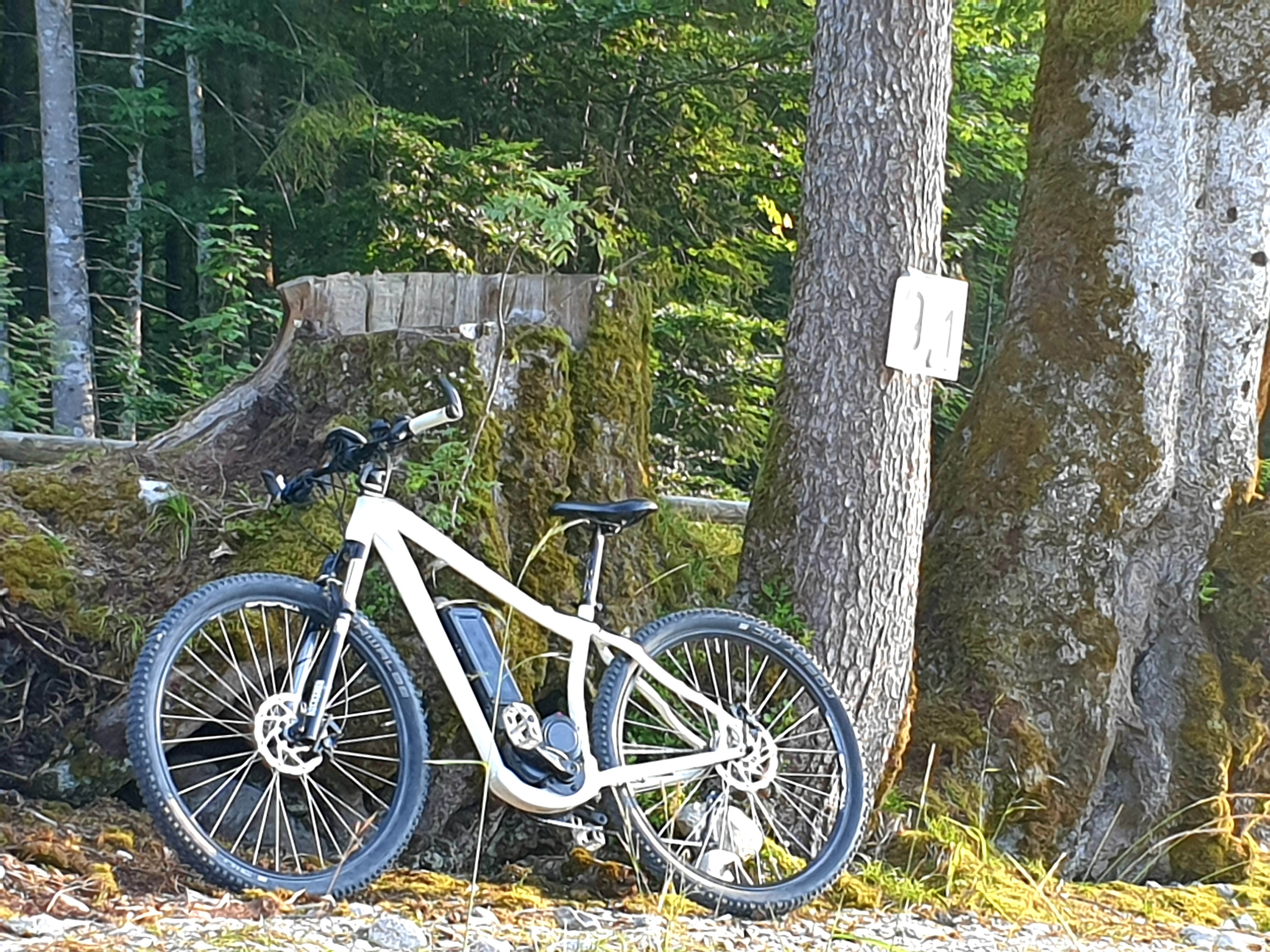 hängematte mit gestell 2 personen – bis 200 kg – DomGarten24 Farbe:Petrol Category:E Bike Trekking_XLC Trekking Passender Mantel (+ Schlauch)