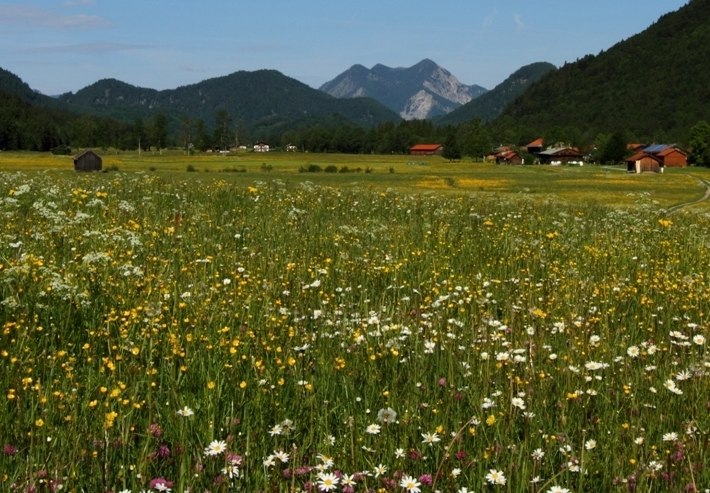 Höfen, © Gemeinde Jachenau