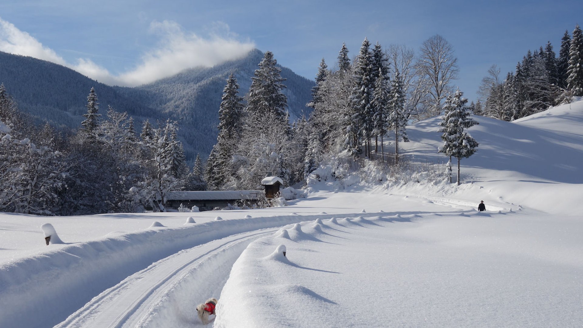 Winter2019, © Gemeinde Jachenau