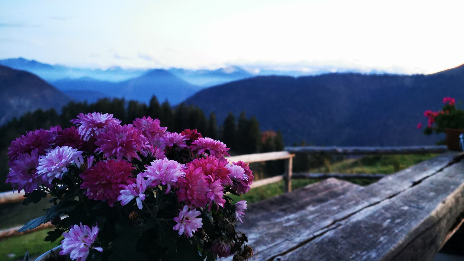 Bergblick, © Tom Stöger