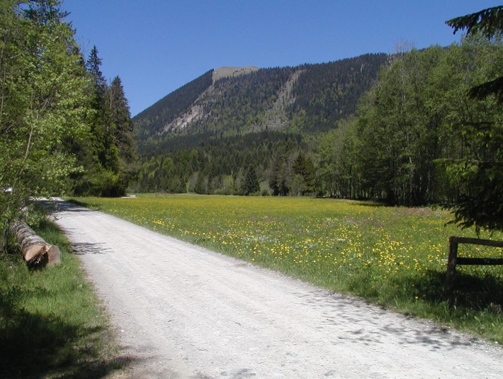 &quot;Ascherwiesen-Runde&quot;, © Gemeinde Jachenau