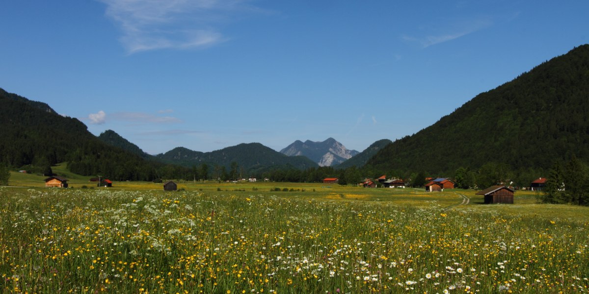 Blick vom Reitgraben HS
