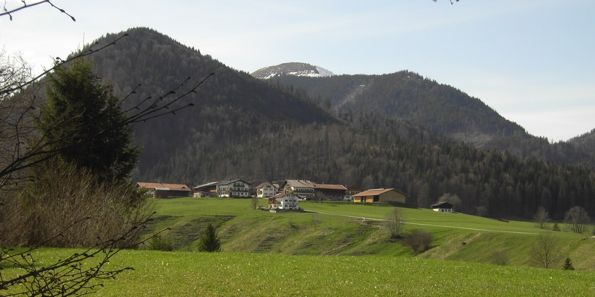 Berg2008