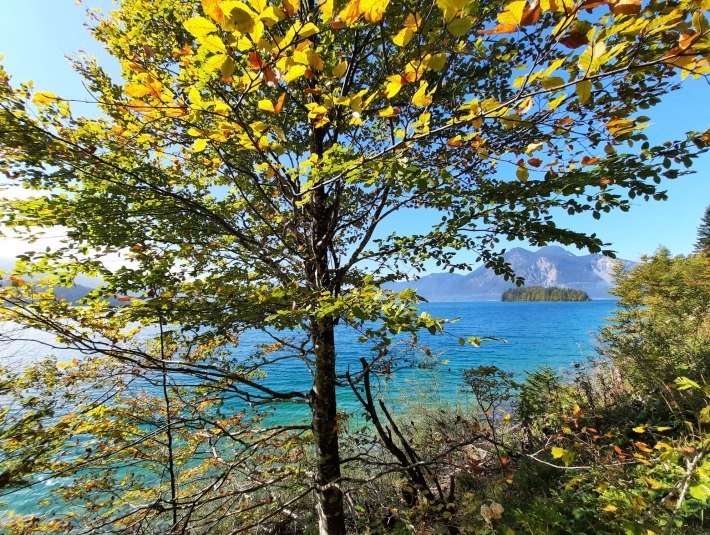 Walchensee im Herbst, &copy; Fischer Katharina