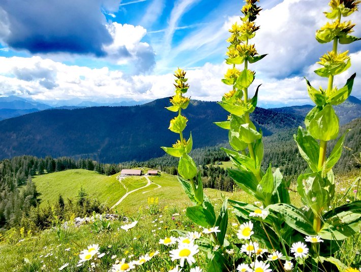 Blick Rabenkopf auf Staffelalm