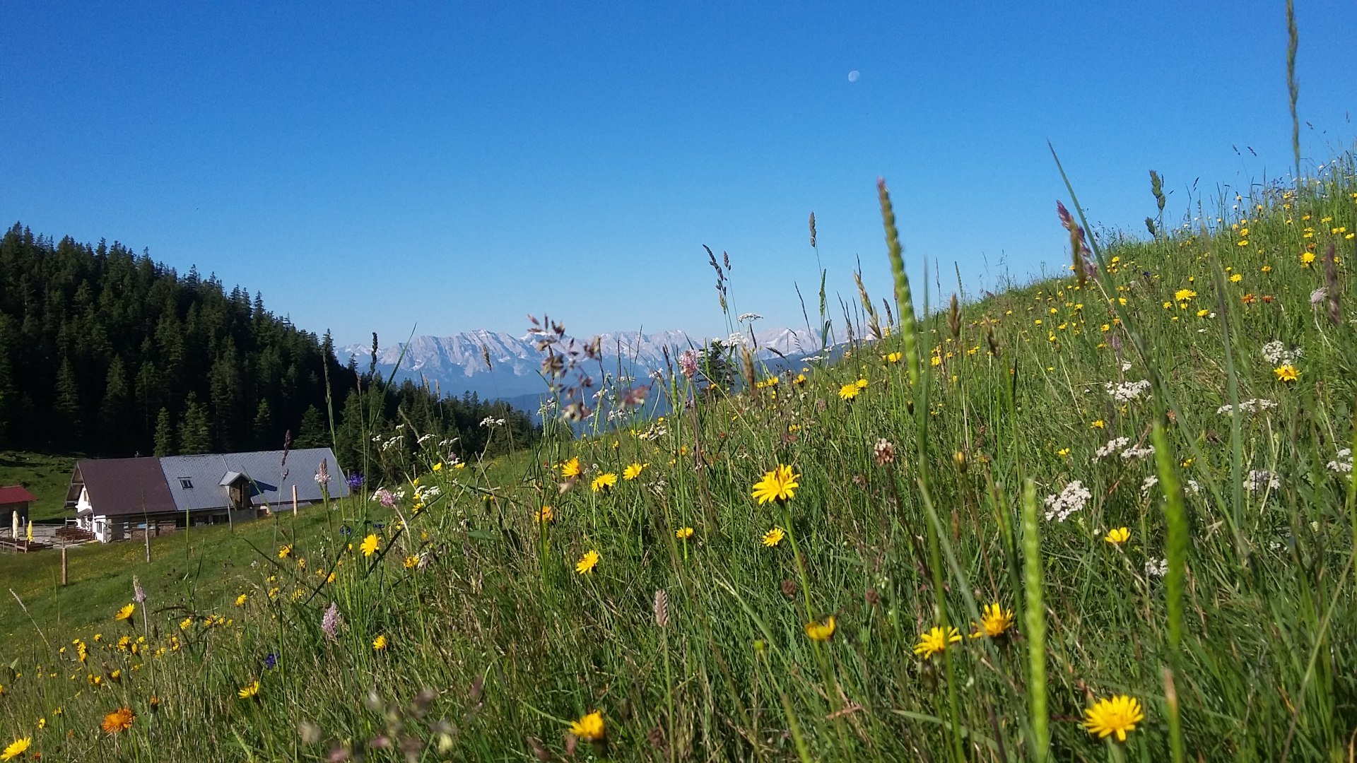 Jocheralm, &copy; Gemeinde Jachenau