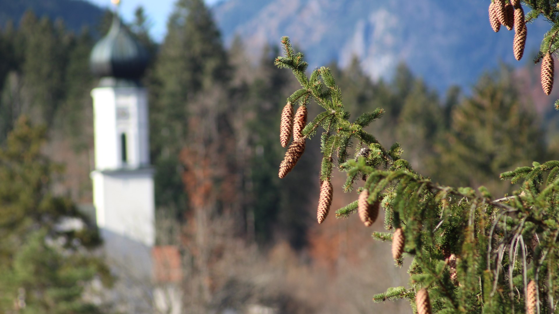Blick Kirche, &copy; Katharina Frech