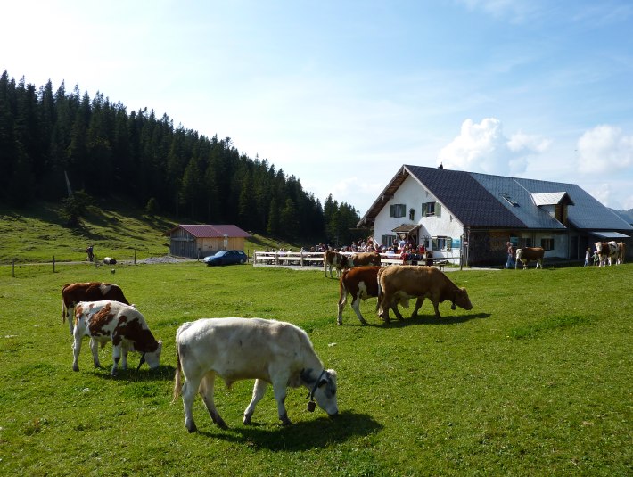 Jocheralm, © Gemeinde Jachenau