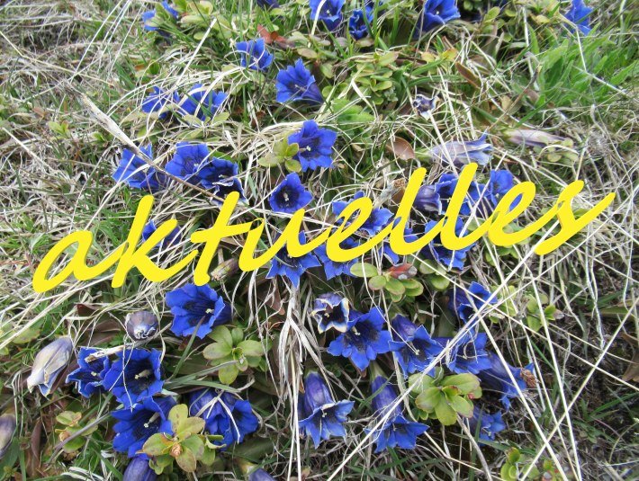 aktuelles, &copy; Gemeinde Jachenau