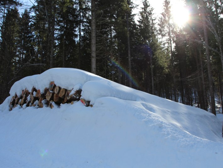 Winterwanderweg, &copy; Katharina Frech
