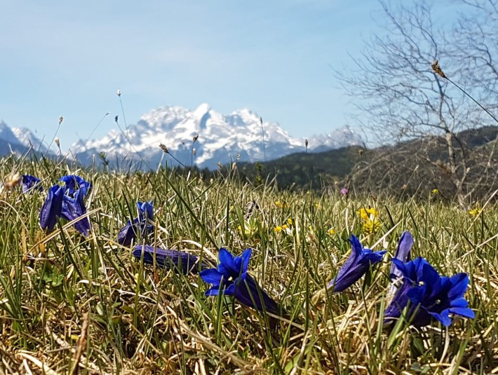 Blick von den Buckelwiesen, &copy; Sonja Eichbichler
